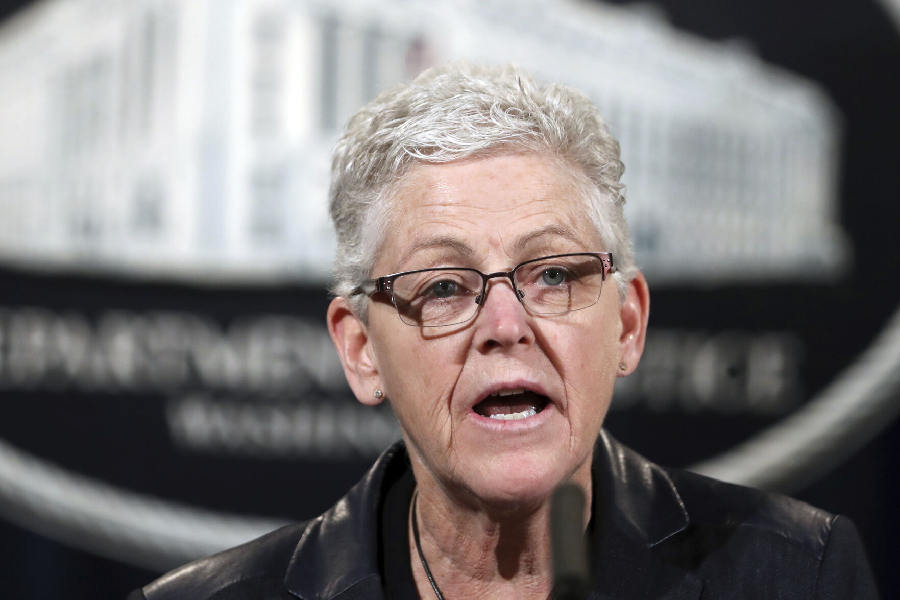 Gina McCarthy, domestic climate chief